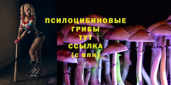 МДПВ Абаза