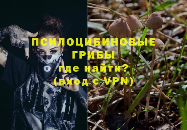 МДПВ Абаза