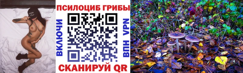 Псилоцибиновые грибы мицелий  hydra маркетплейс  Ханты-Мансийск 